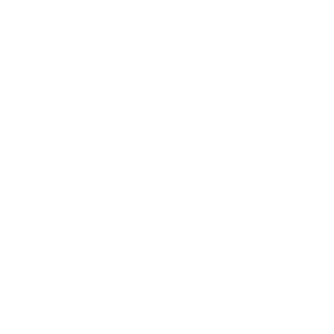 Icon 17