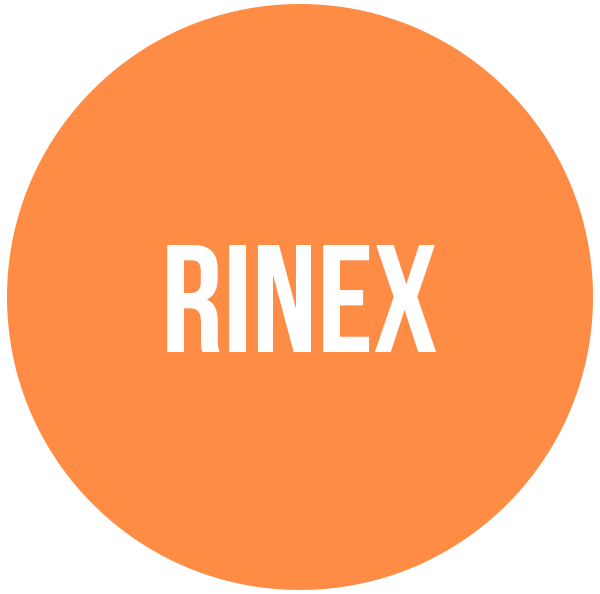 rinex formularz edu